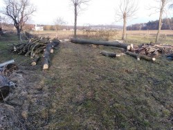 IMG_20210228_155403.jpg