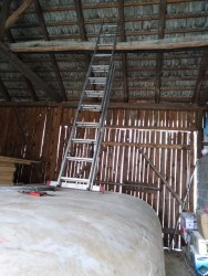 IMG_20201212_133342.jpg