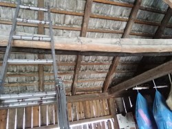 IMG_20201212_133532.jpg