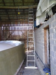 IMG_20210603_123019.jpg