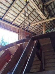 IMG_20210604_172655.jpg