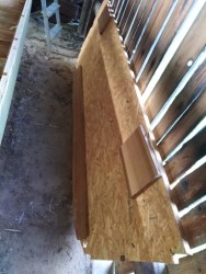 IMG_20210611_181833.jpg