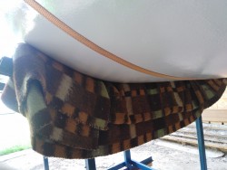 IMG_20210626_102320.jpg