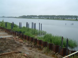BLOTNIK (5).JPG