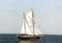 shop_cdfe324.jpg