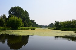 kanał żerański 03.jpg