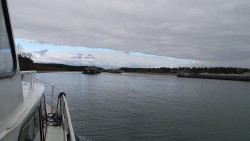20230403_162025_budowa.jpg