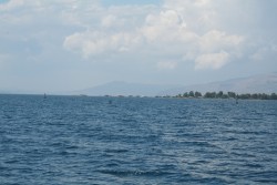 IMG_3187.JPG