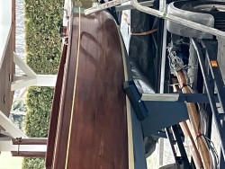 IMG_1320.jpeg