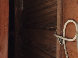 IMG_1617.jpeg