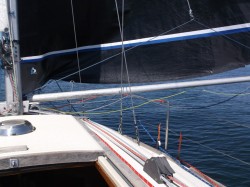 DSCF1105_2.jpg