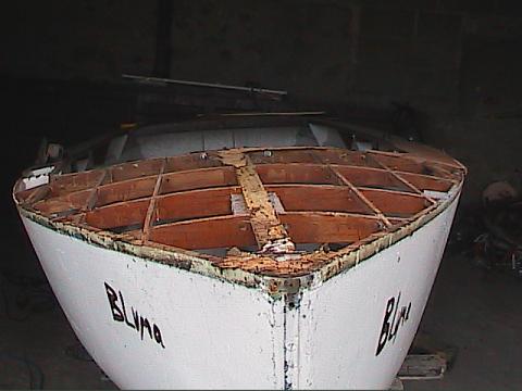 bluma1.JPG