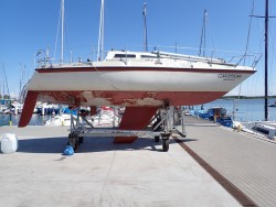 P5110529_2.jpg