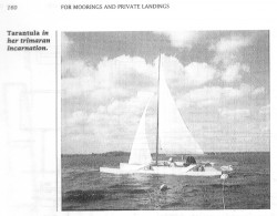 Tarantula_trimaran01.jpg