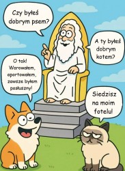 dobry_kot.jpg