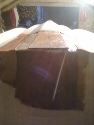 20110903130.jpg