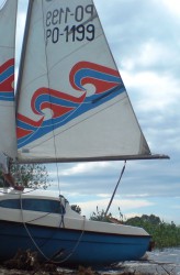 DSC00601.JPG