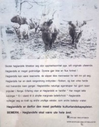 dd6.jpg