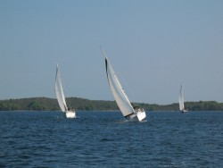 IMG_8487.JPG