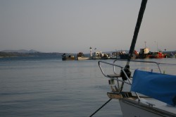 IMGP0620.JPG