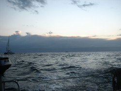 IMG_2180a.jpg