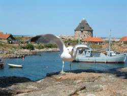 LATO (116).jpg
