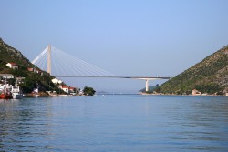P1290426.jpg