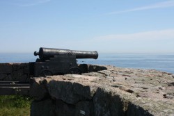 IMG_1567.jpg