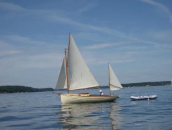 IMG_3517.jpg
