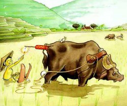 chinesewaterskiing.jpg