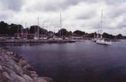 img.jpg