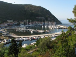 IMG_4981.JPG