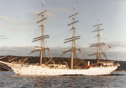 bol920845.jpg