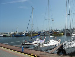 SDC14548.JPG