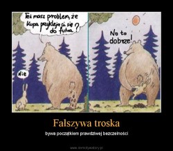 mis_i_zajac_131.jpg