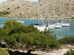 PICT0088a.jpg
