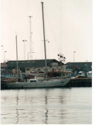 utka 001.jpg