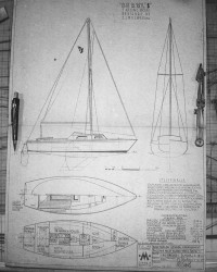 PICT7580czb.JPG
