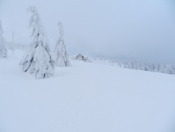 DSCN0277.JPG