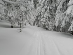DSCN0352.JPG