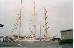 utka 003.jpg