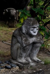 IMG_3068.JPG