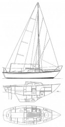 hurley 22 rys.jpg