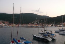 00496.JPG