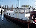 Avatar użytkownika