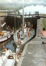bol9407035.jpg