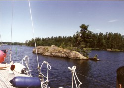 bol9407074.jpg