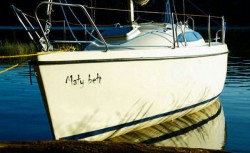 DSC_2896.jpg
