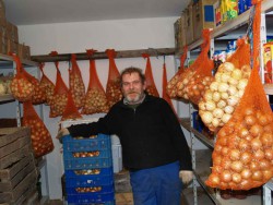 cebula.jpg
