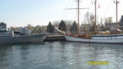 SAM_0347.JPG